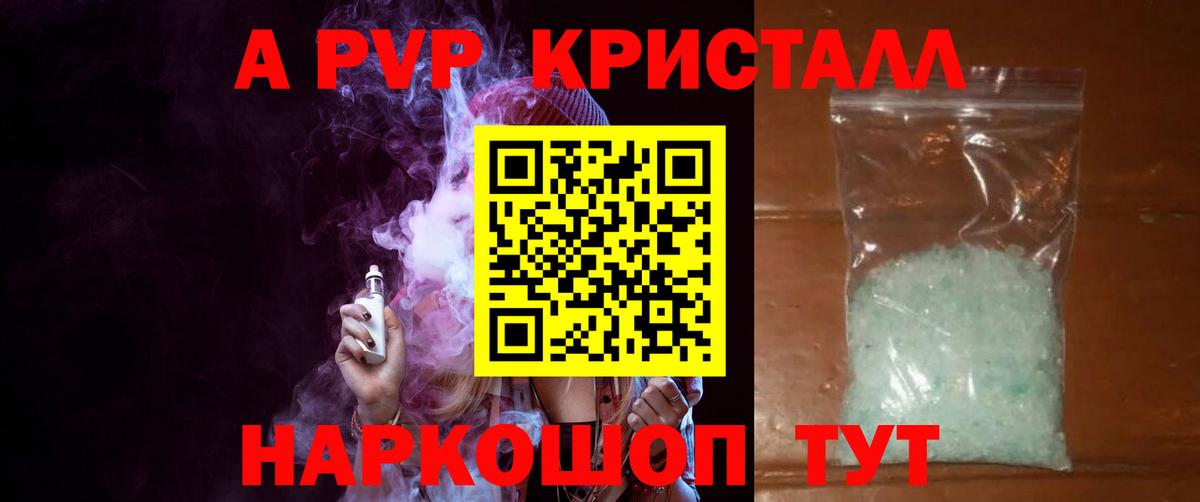 Альфа ПВП СК КРИС Спасск-Дальний
