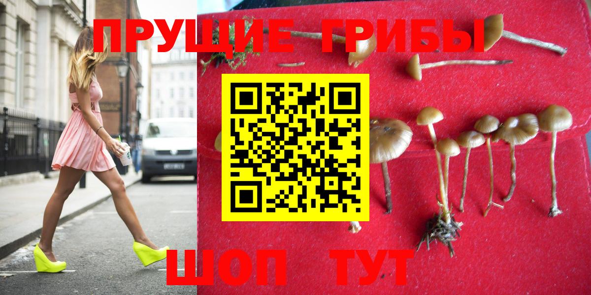 Псилоцибиновые грибы мухоморы Спасск-Дальний