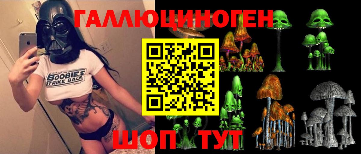 Галлюциногенные грибы Cubensis  где продают   Спасск-Дальний  Галлюциногенные грибы мицелий  Вход с VPN 